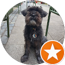 sinead L. profile picture